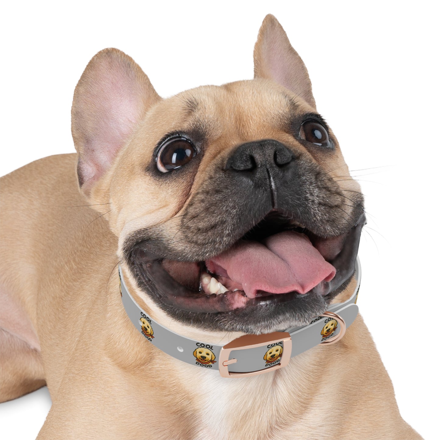 Cool Dog Collar for Stylish Pets, Adjustable Canine Accessory, Perfect Gift for Dog Lovers, Fun Pet Fashion