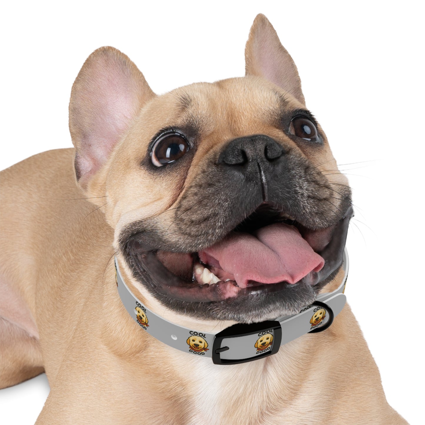 Cool Dog Collar for Stylish Pets, Adjustable Canine Accessory, Perfect Gift for Dog Lovers, Fun Pet Fashion